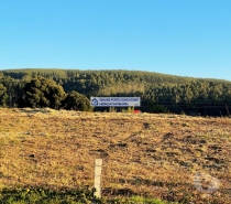 Terrenos Santa Maria da Feira - Fotos para Lotes p Construção Moradias Gueifar - S. João de Ver (T-00646)